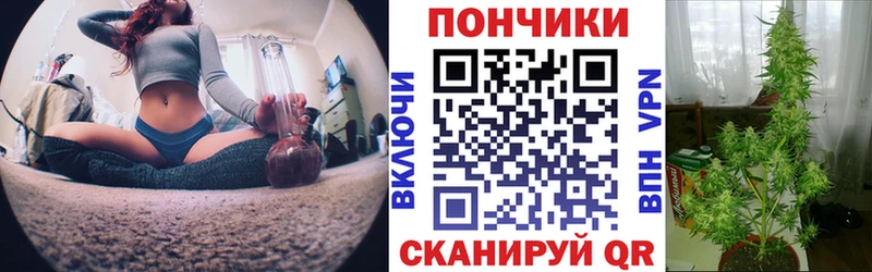 Бошки Шишки SATIVA & INDICA  Палласовка 